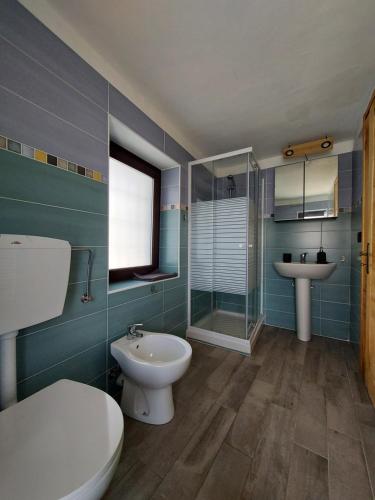 AlpetteGran Paradiso的一间带卫生间和水槽的浴室