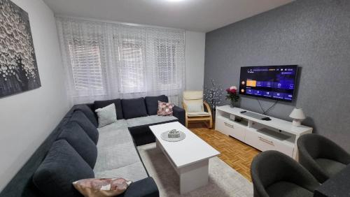 萨拉热窝Aya apartment Sarajevo的客厅配有蓝色的沙发和平面电视。