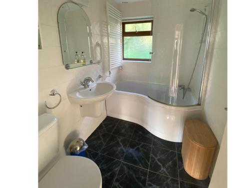 伊斯特布恩Arbor Cottage的带浴缸、盥洗盆和卫生间的浴室