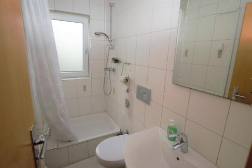 斯图加特Luxury Apartment in Stuttgart的浴室配有卫生间、淋浴和盥洗盆。