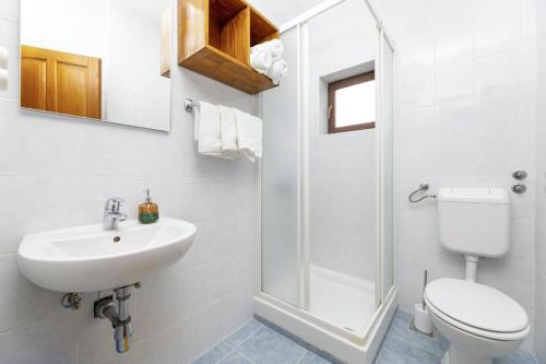 多布林吉Lorenzo in Klanice (Haus 2 für 6 Personen)的一间带水槽、卫生间和淋浴的浴室