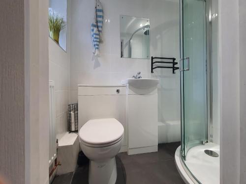 南海灵Hayling Hideaway, private cosy annex near to beach的浴室配有卫生间、盥洗盆和淋浴。