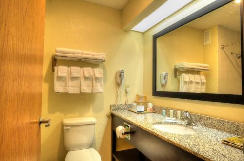 切罗基切诺基品质酒店的一间带卫生间、水槽和镜子的浴室