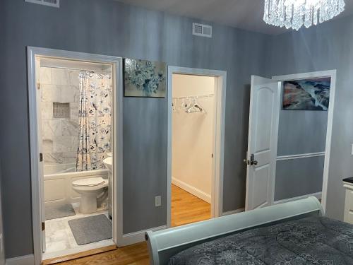 波士顿Brand New Luxury Rooms near downtown Boston的带浴缸、卫生间和淋浴的浴室。