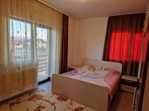 布拉索夫Casă și curte confortabilă的一间卧室设有一张床和一个大窗户