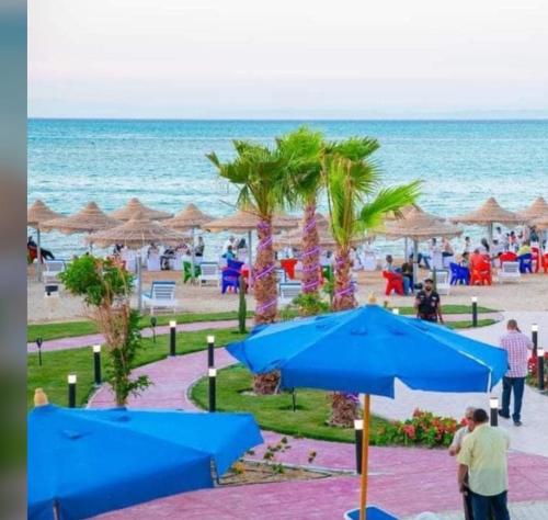 赫尔格达كازبلانكا بيتش الغرددقه的海滩上有人,海滩上有人,海滩上有人,海滩上有人,海滩上有人,海滩上有人,蓝色伞