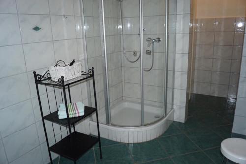 Niederhaverbeck埃克霍夫乡村酒店的带淋浴和盥洗盆的浴室