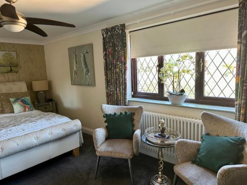 Halland比奇伍德住宿加早餐酒店的一间卧室配有一张床、一把椅子和窗户。