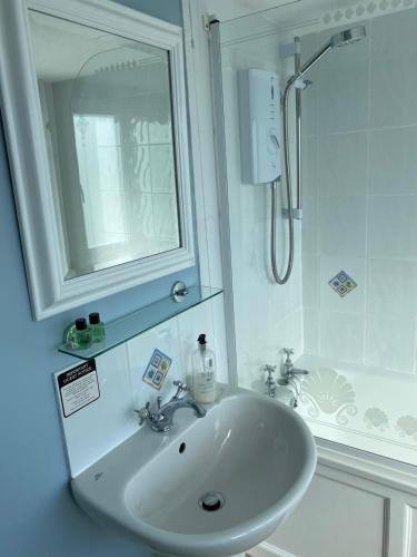 克雷尔Honeypot Guest House的白色的浴室设有水槽和淋浴。