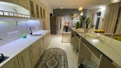 塔什干Duplex80的厨房配有水槽和台面