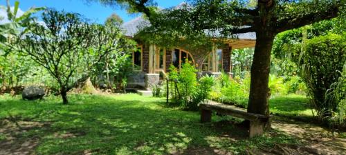 Mutolere Coffee Pot Guest Houses