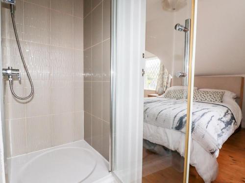 纽基Bro Tref Cottage的带淋浴、床和浴缸的浴室