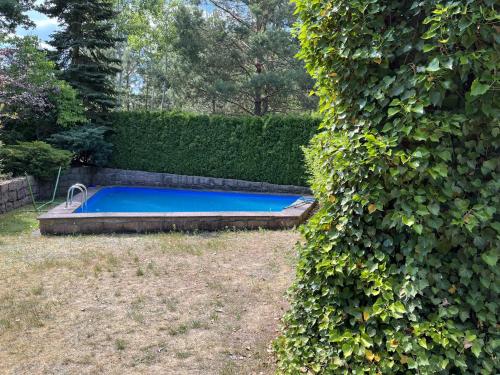巴特施米德贝格Ferienhaus mit Pool zum Träumen und Entspannen für alle Sinne的花园内的游泳池,毗邻树 ⁇ 