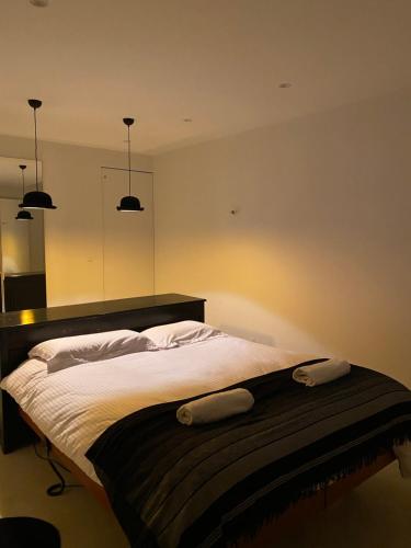 波尔尼谢Magnifique Penthouse Pornichet的一间卧室配有一张床,上面有两条毛巾