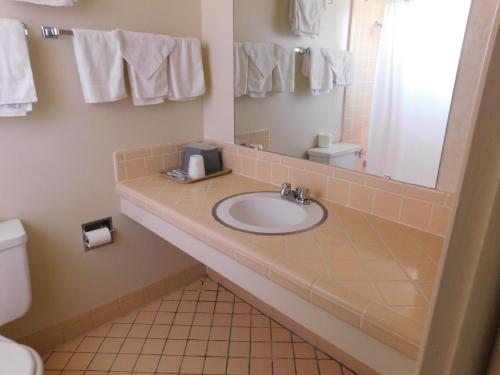 拉斯克鲁塞斯皇家霍斯特汽车旅馆的一间带水槽、镜子和卫生间的浴室
