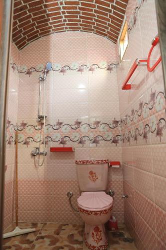 卢克索Memnoun house的带淋浴和卫生间的浴室