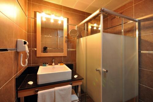 安卡拉斯塔顿酒店的一间带水槽和淋浴的浴室