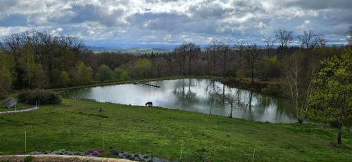 La Geneytouseles bois de saint Auvent的田野中间的一个池塘,里面有一匹马