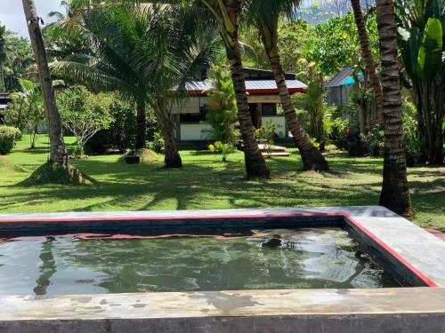 曼巴豪在别处精品度假酒店的棕榈树庭院里的水池