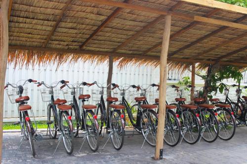 琅勃拉邦Baan Pila的停在木屋顶下的一排自行车