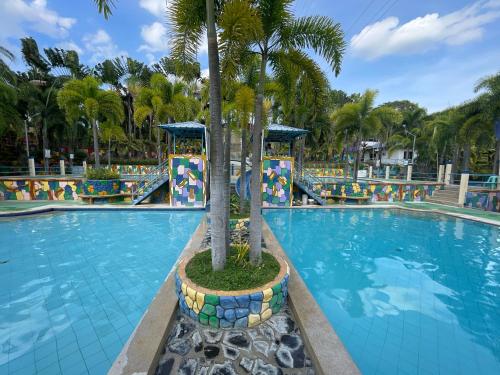 PoracPoracay Resort powered by Cocotel的中间有一个棕榈树游泳池