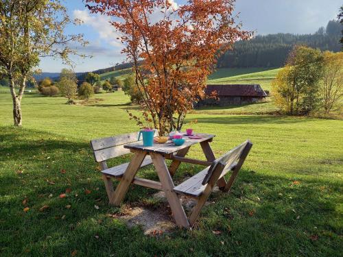 蒂蒂湖-新城Ferienhaus Kaltenbach的一张坐在田野上的木餐桌