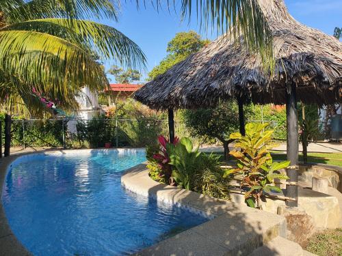 Puerto ColombiaCasa Nova的一个带草伞和一些植物的游泳池