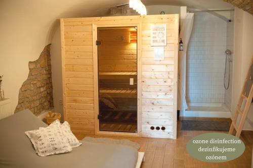 拉贝河畔布兰迪斯-斯塔拉博雷斯拉夫Villa Letná的客房设有带淋浴的木制衣柜。