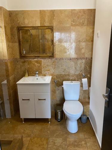 奥拉迪亚Vila De la Lugas的浴室配有白色卫生间和盥洗盆。