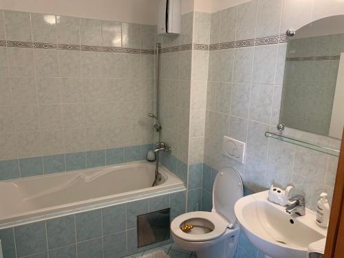 布拉迪斯拉发Vienna Gate apartment的浴室配有卫生间、盥洗盆和浴缸。