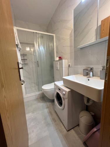 布雷拉Apartments Krivic的浴室配有卫生间水槽和洗衣机。