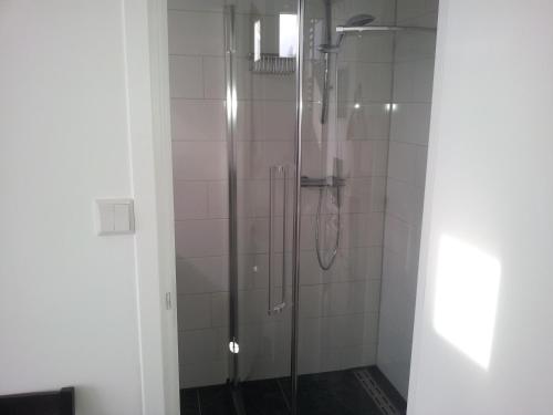 登堡Homestay Bij Aelita的浴室里设有玻璃门淋浴