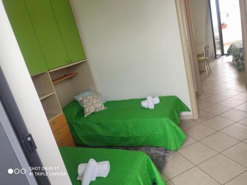 玛里纳蒂蒙内罗Casa Joanna `San Salvo Marina`的小房间设有绿床和毛巾