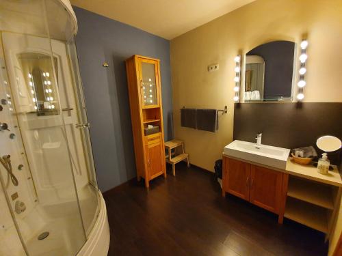 波佩林赫赫伯格波尔林霍尔住宿加早餐旅馆的一间带水槽和淋浴的浴室