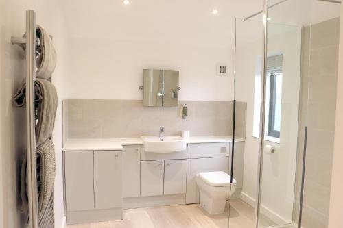 白金汉Cowley Farm, Preston Bissett, Buckingham的白色的浴室设有卫生间和水槽。