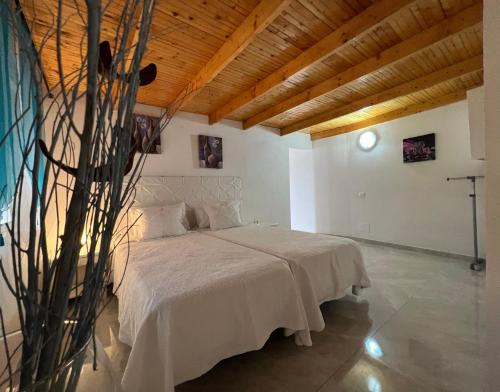 圣米格尔德阿沃纳Casa rosa的一间卧室设有一张带木制天花板的大床