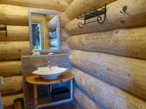 乌姆豪森Holzberghof的木墙内带水槽的浴室
