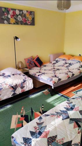 拜赖克菲尔德Barázda Apartman的一间卧室配有两张床,铺有绿色地毯