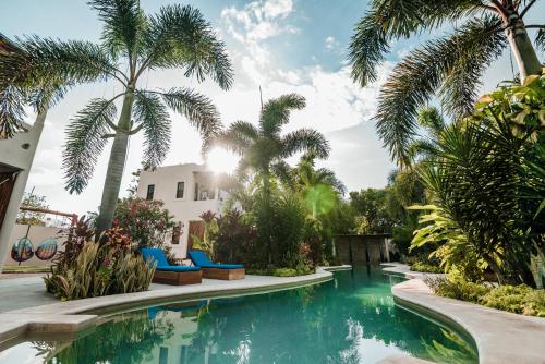 巴卡拉尔Blue Palm Bacalar的棕榈树庭院内的游泳池