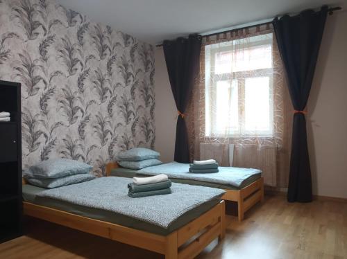 布拉格Apartments Captain Grand Prague的带窗户的客房内设有两张单人床。