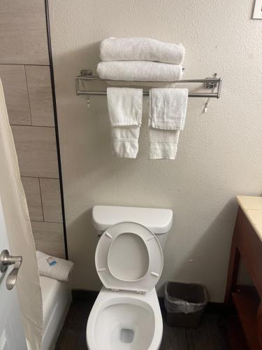 FerndaleAmerican Inn & Suites的浴室配有白色卫生间和毛巾。