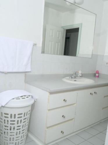 多伦多Raised bungalo的白色的浴室设有水槽和镜子