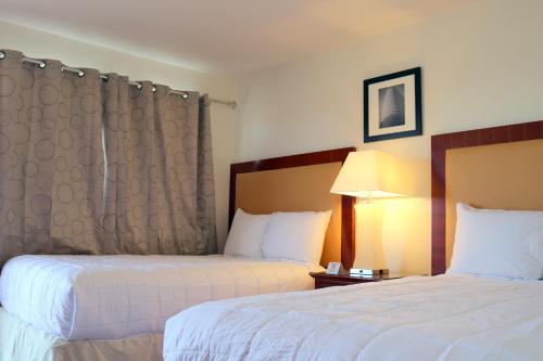 威尔科克斯Willcox Extended Residence Inn and Suites的酒店客房,设有两张床和一盏灯