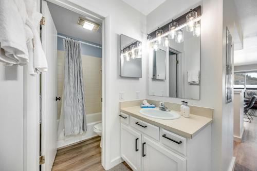 杰克逊2401 Pitchfork的一间带水槽、卫生间和镜子的浴室