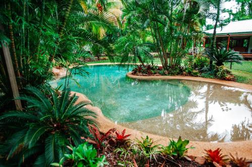 库克敦Paperbark Retreat的棕榈树花园内的游泳池