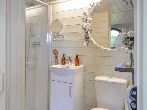 StraitonBracken - Uk34842的浴室配有卫生间、盥洗盆和淋浴。