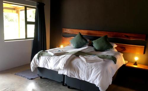奥茨胡恩Klein Karoo Game Lodge的一间卧室配有一张带绿色枕头的床和一扇窗户