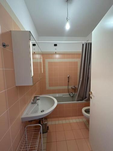 坎皮奥内Monolocale con vista lago的一间带水槽、淋浴和卫生间的浴室