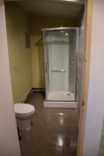 Ter Aarcamping family room的带淋浴和卫生间的浴室