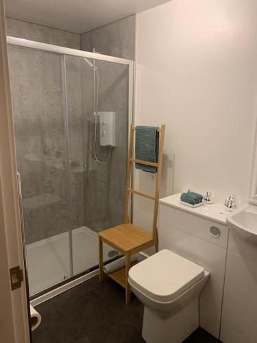 SkeabostCruachan Cabin的带淋浴、卫生间和盥洗盆的浴室